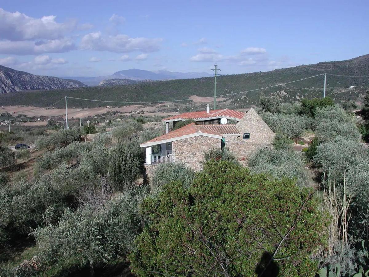 Hotel Casa In Campagna Dorgali Esterno foto