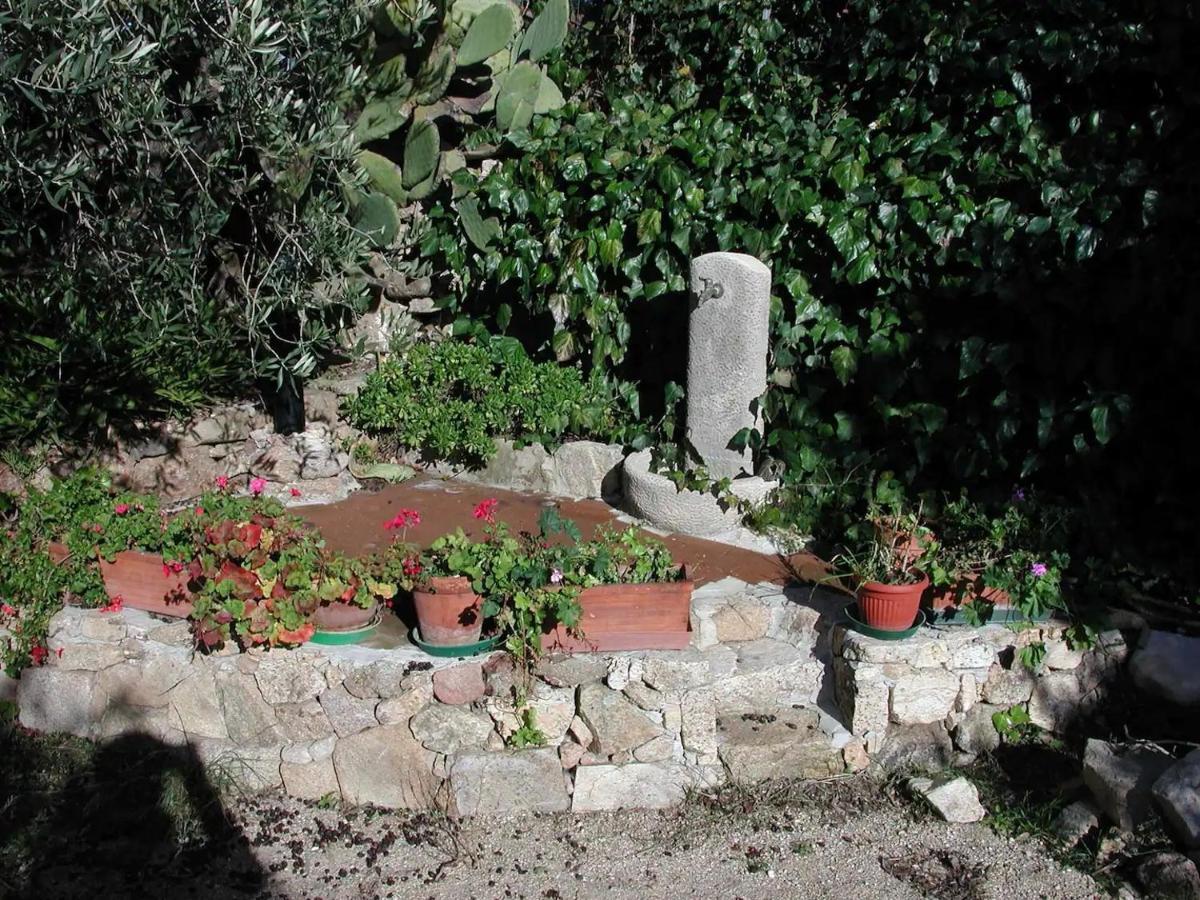 Hotel Casa In Campagna Dorgali Esterno foto